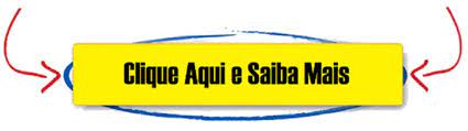 Apostila IBGE 2025 Download - pdf